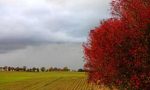 Tempo variabile nel weekend PREVISIONI METEO