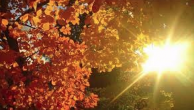 Novembre si chiude con il sole. Domenica ancora piogge | PREVISIONI METEO LODI