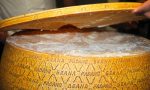 Dazi Usa sull’agroalimentare, la battaglia del Grana Padano