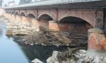 Rinviata la rimozione di tronchi e detriti sotto il Ponte sull’Adda