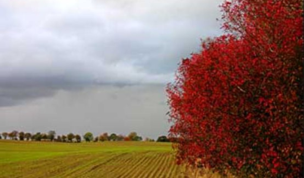 Cosa ci riserva il meteo dopo il maltempo di ieri PREVISIONI