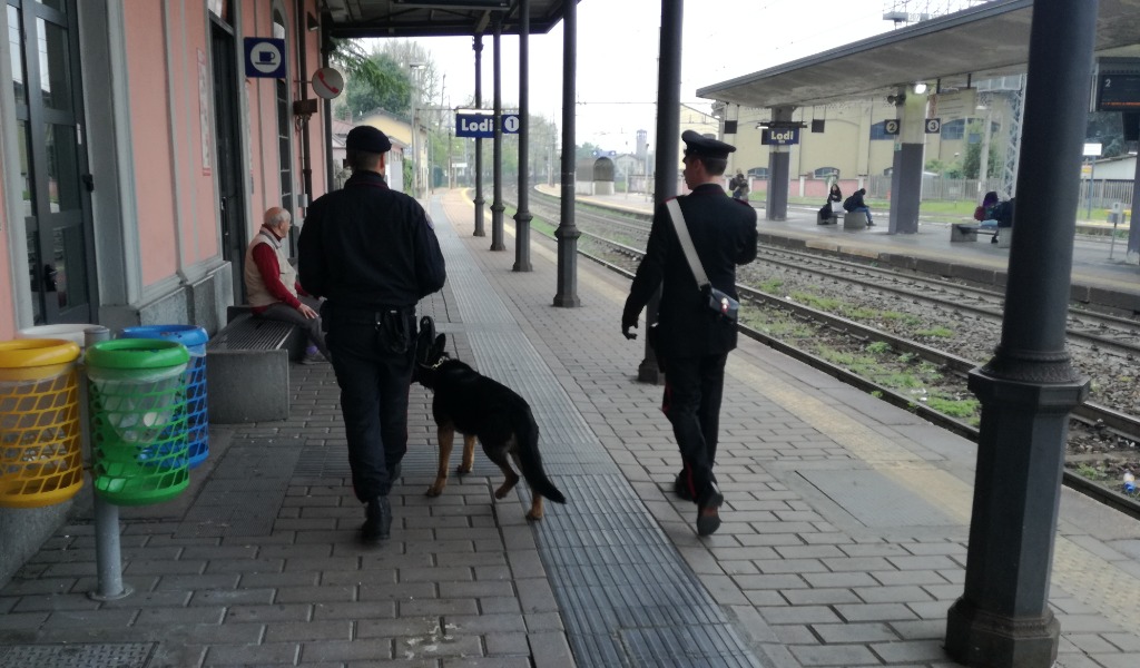 Il cane Denver ancora all’opera per scoprire spacciatori e assuntori