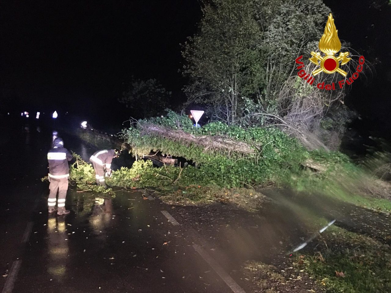 Maltempo: alberi caduti e palazzine pericolanti FOTO