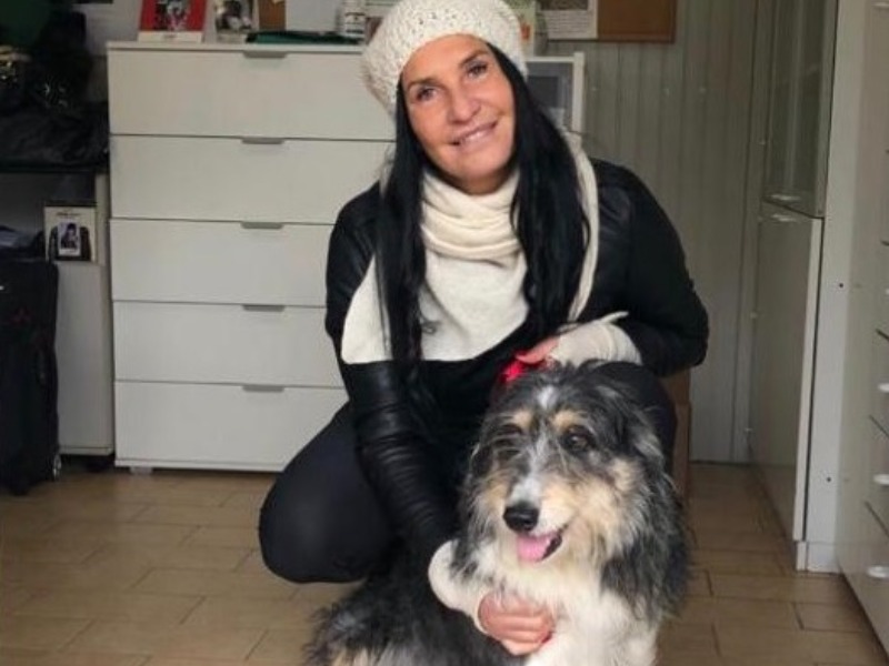 A Natale adottate un cane dai canili della Lombardia VIDEO