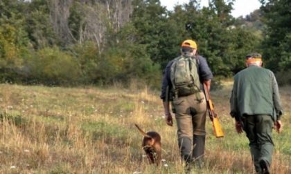 Emergenza cinghiali, il sindaco di Locate: “Chiudiamo il Parco e uccidiamoli”