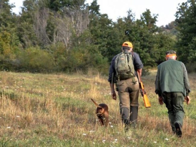 Anche nel Lodigiano al via la nuova stagione di caccia: scattano i controlli per la sicurezza nei campi