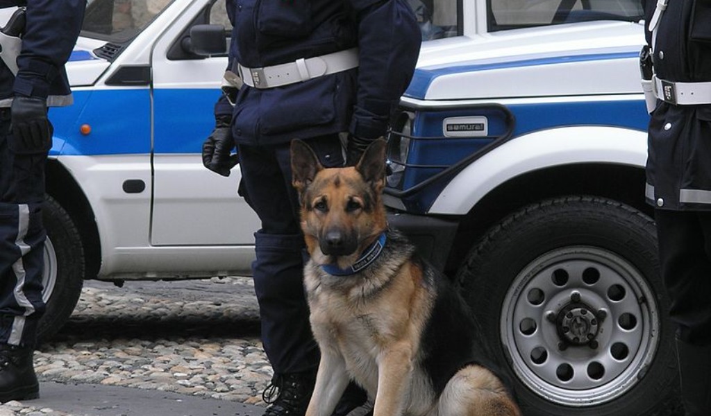 Ingoia 25 ovuli di metanfetamine e cocaina ma non sfugge all’olfatto di Rock