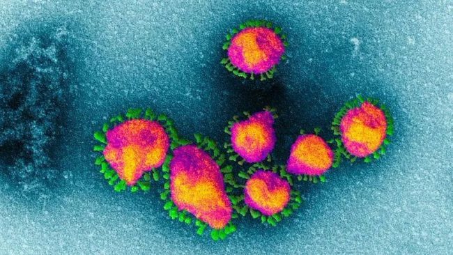 Coronavirus primo caso sospetto in Liguria