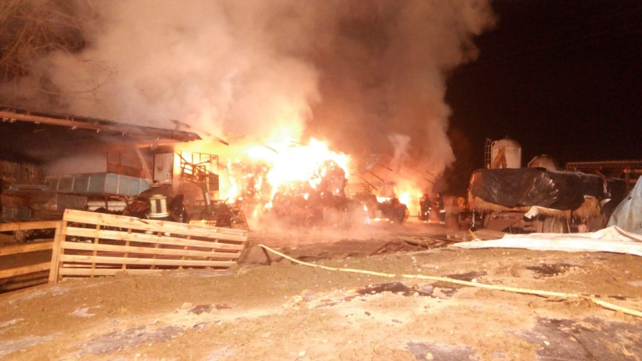 Azienda agricola devastata da un incendio a Capodanno FOTO