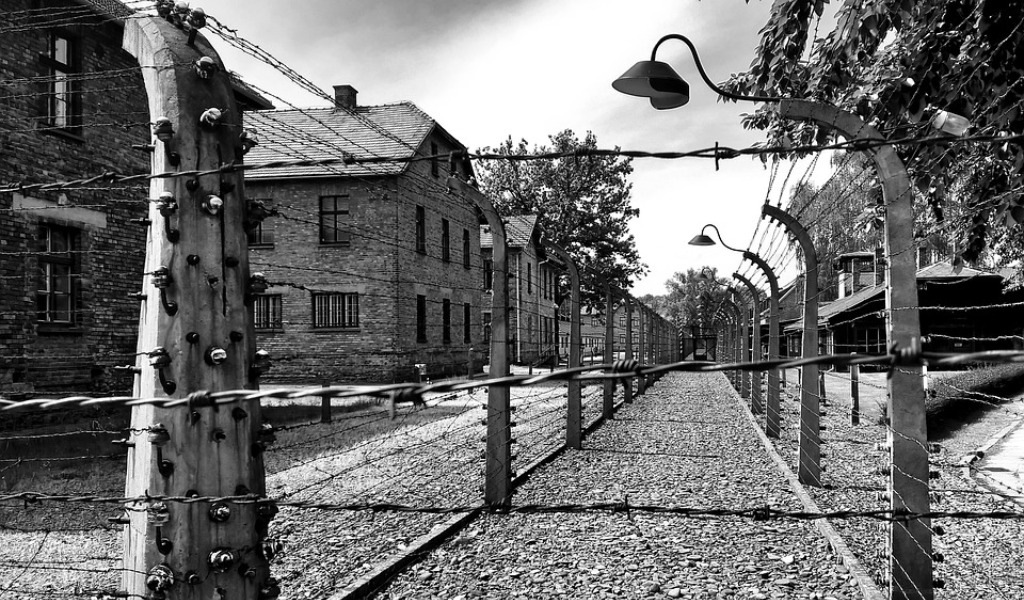 Un viaggio nella memoria con il Partito Democratico Lodigiano ad Auschwitz