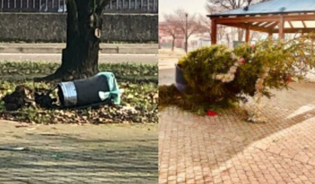 Vandali in azione in piazza a Mulazzano: albero di Natale rovesciato e distrutto per gioco