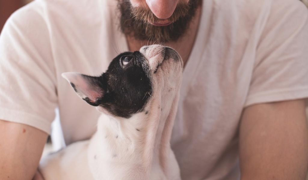 Gli animali da compagnia trasmettono il Coronavirus? Assolutamente no