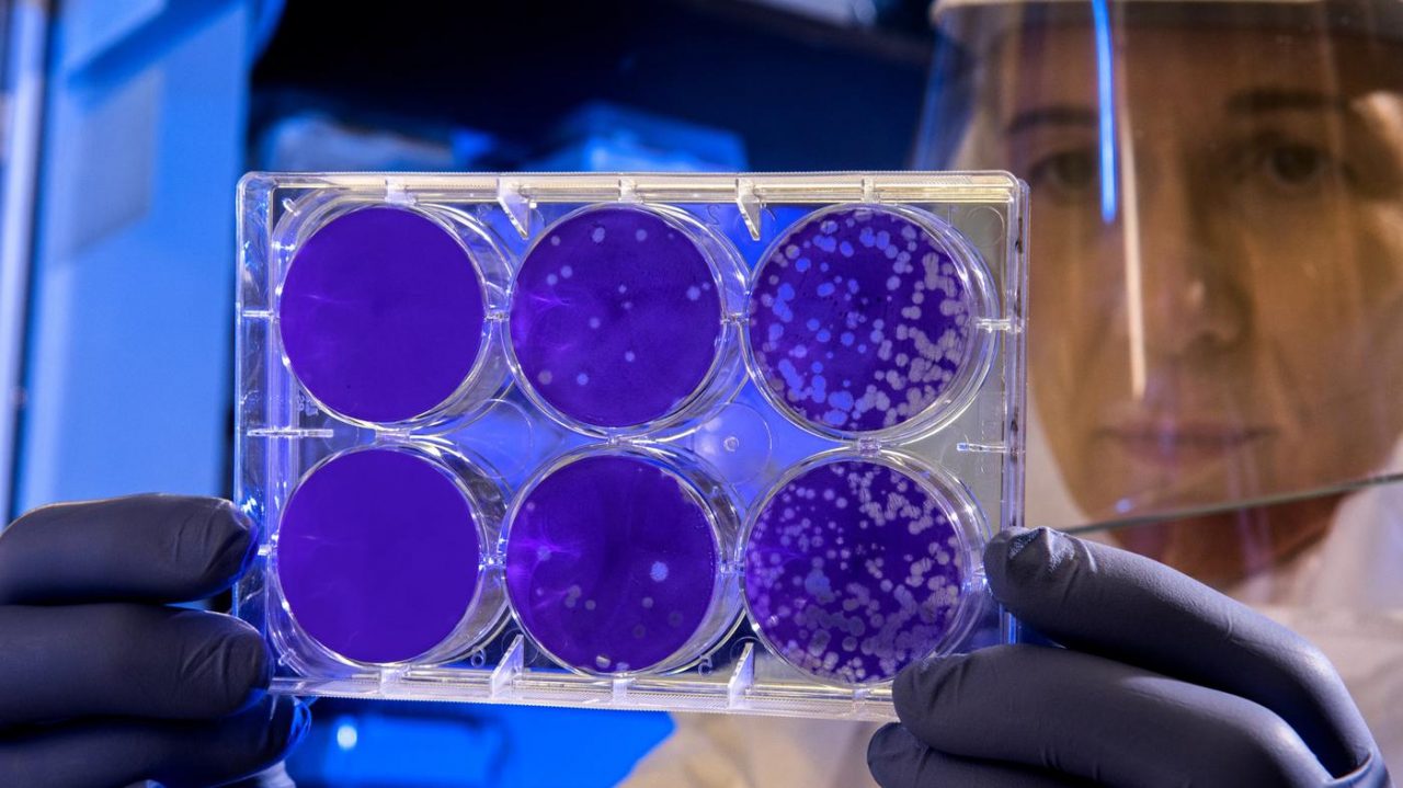 A Sesto il paziente non era affetta da Coronavirus, centri commerciali riaperti