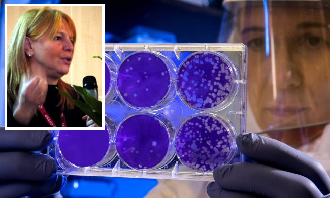 Coronavirus: ceppo italiano isolato al Sacco di Milano
