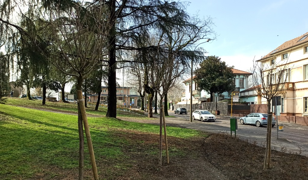 Piazzare 3 Agosto ha un nuovo look tutto green