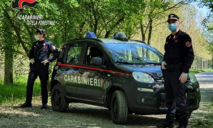 Pasqua 2020: i controlli dei Carabinieri Forestali in Lombardia