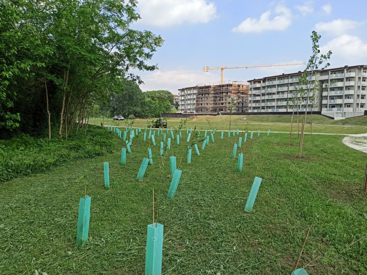 Parco della Spina Verde: ripartono i lavori. Termine previsto per giugno.