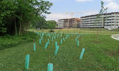 Parco della Spina Verde: ripartono i lavori. Termine previsto per giugno.