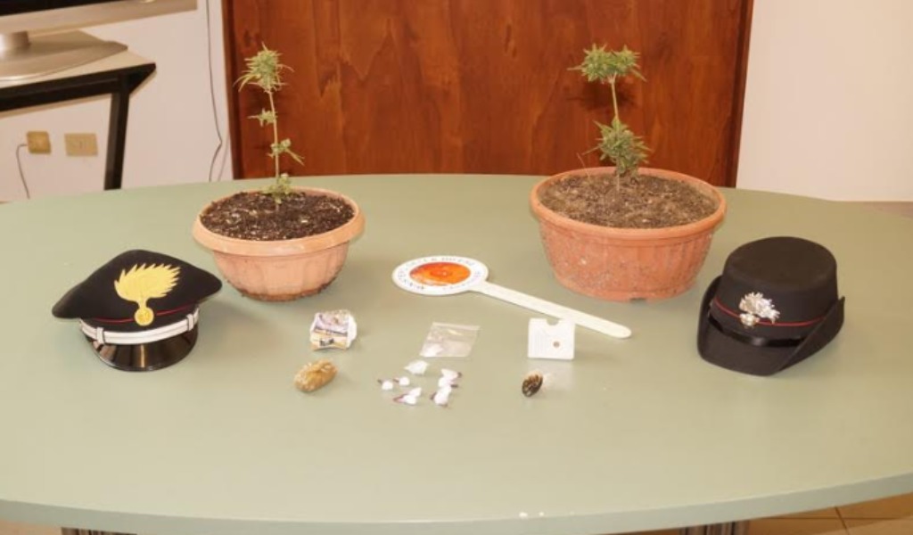 Arrestato spacciatore di San Rocco al Porto scoperto con droga e piante di marijuana