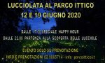 Un evento da non perdere: la "lucciolata" al parco Ittico Paradiso di Zelo Buon Persico