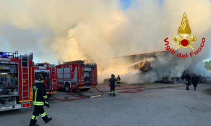 In fiamme un deposito di rotoballe, coinvolte almeno 500 balle di fieno FOTO