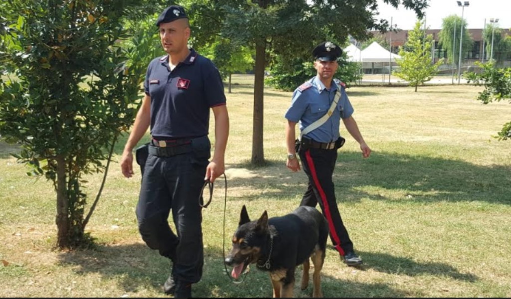 Cane antidroga scopre 100 grammi di hashish nascosti in un cestino del parco