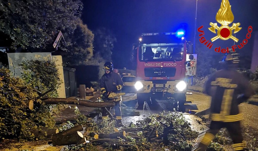 Maltempo nel Lodigiano, alberi abbattuti sulle strade