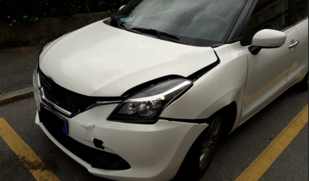 Automobilista investe un capriolo in A1 e denuncia: “recinzioni di 1,20 metri non bastano”