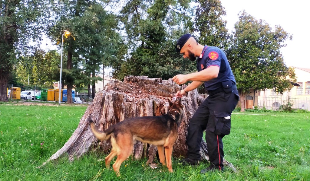 Al parco Margherita Hack trovata marijuana nascosta in un tronco FOTO