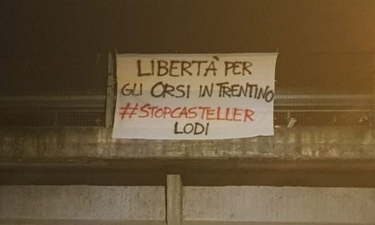 "Libertà per gli orsi del Trentino!": anche a Lodi striscioni contro la detenzione di M49, M59 e DJ3