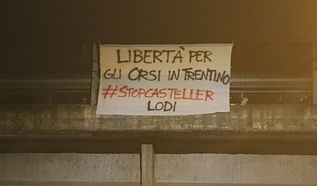 “Libertà per gli orsi del Trentino!”: anche a Lodi striscioni contro la detenzione di M49, M59 e DJ3