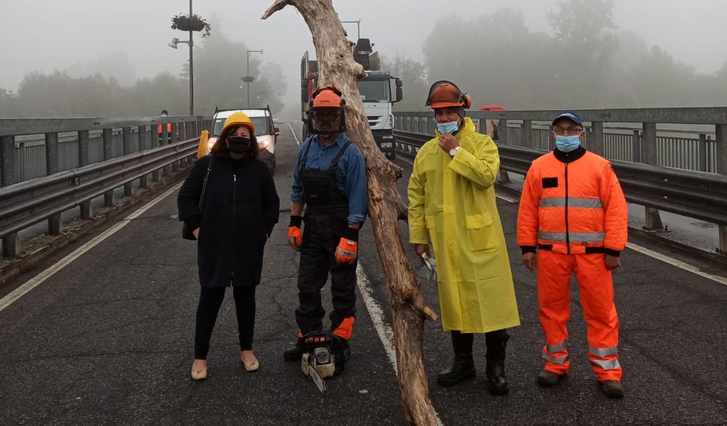 Lodi: in corso la pulizia dei piloni del Ponte Napoleone Bonaparte FOTO