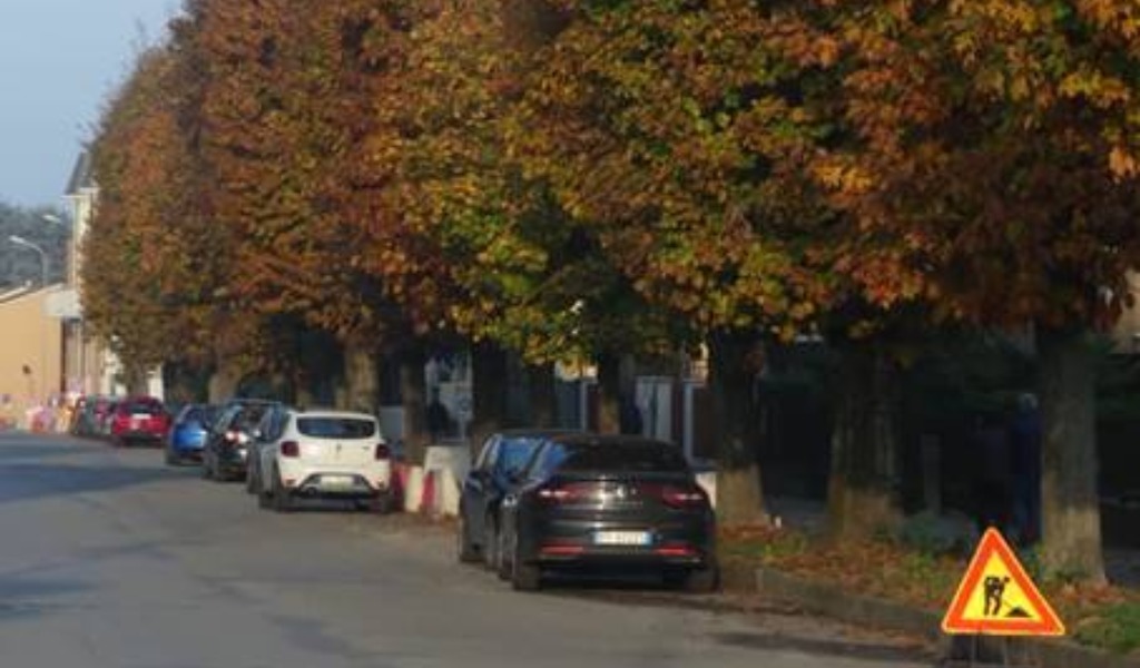 Taglio alberi per riqualificare la zona: i cittadini di Sant’Angelo Lodigiano si oppongono