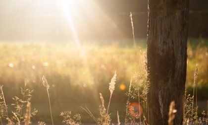 Dopo un po’ di pioggia tornano sole (e nebbie) | Meteo Lombardia