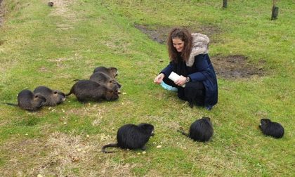 Nutrie lapidate e centinaia di animali selvatici avvelenati: ma non dovevamo essere migliori?