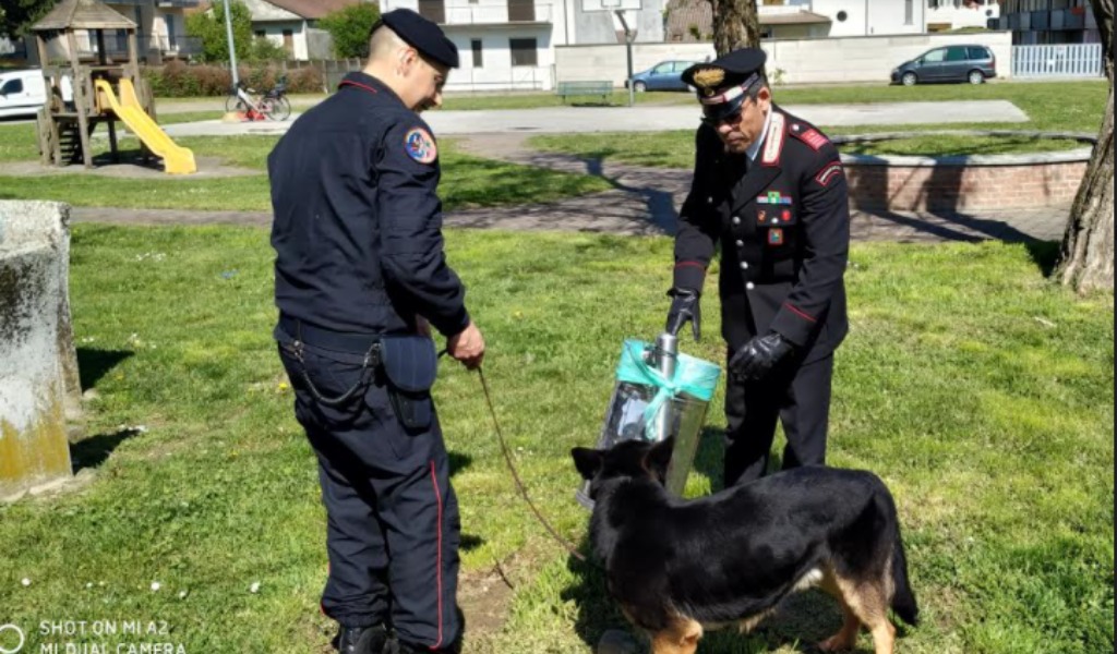 Grazie ai cani antidroga trovato altro stupefacente interrato al parchetto Margherita Hack
