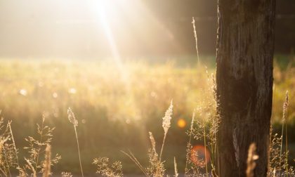 Nel weekend previste punte di 21 gradi | Previsioni meteo Lombardia