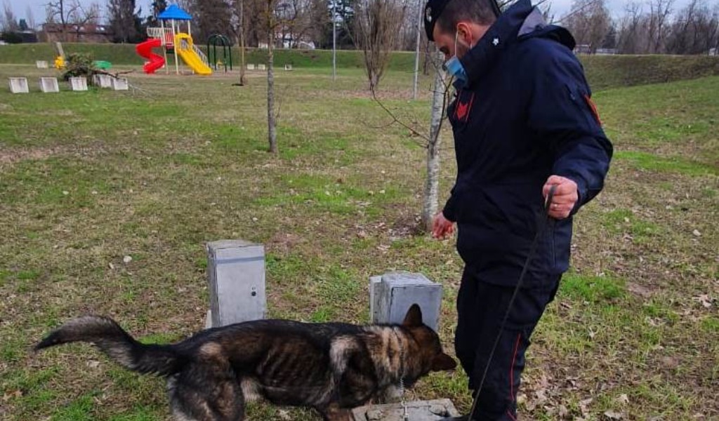 Controlli antidroga nei parchi con il cane Kevin, segnalati due minorenni