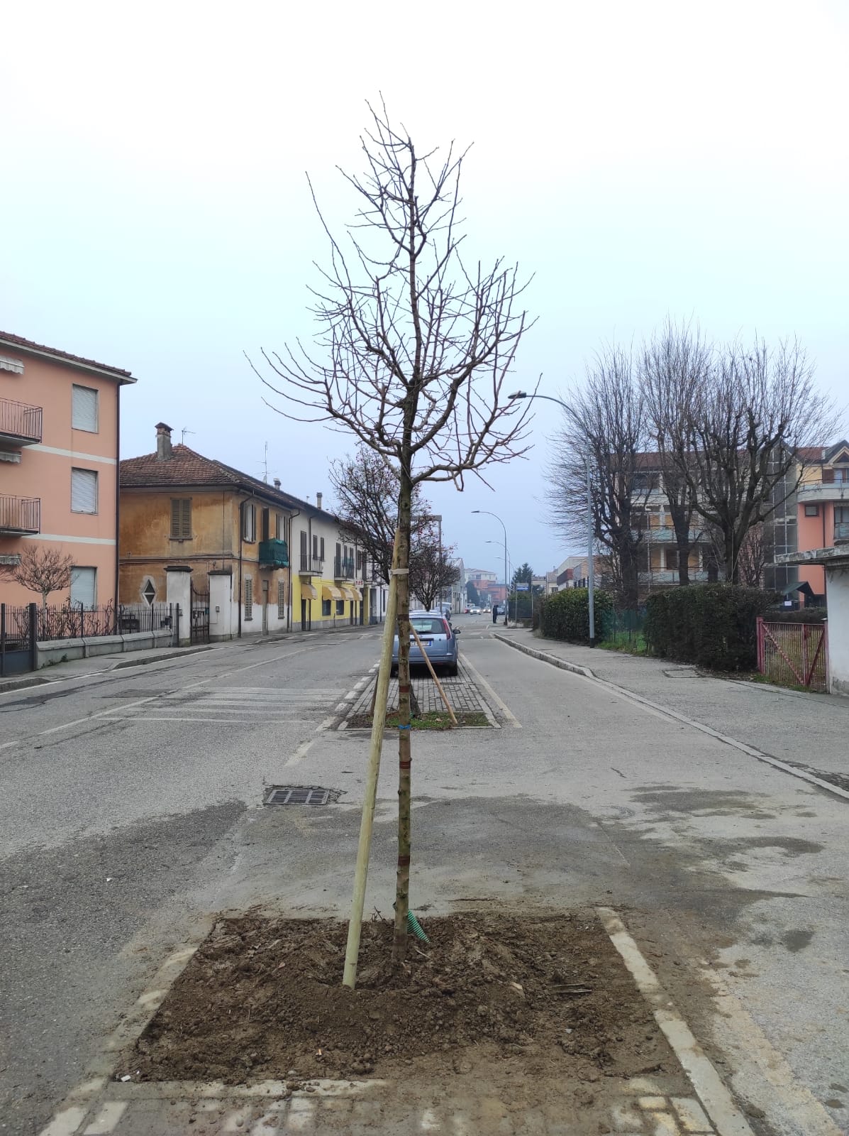 via San Fereolo 2