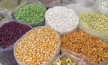 Ruba 200 kg semi di mais da un'azienda agricola, denunciato 40enne