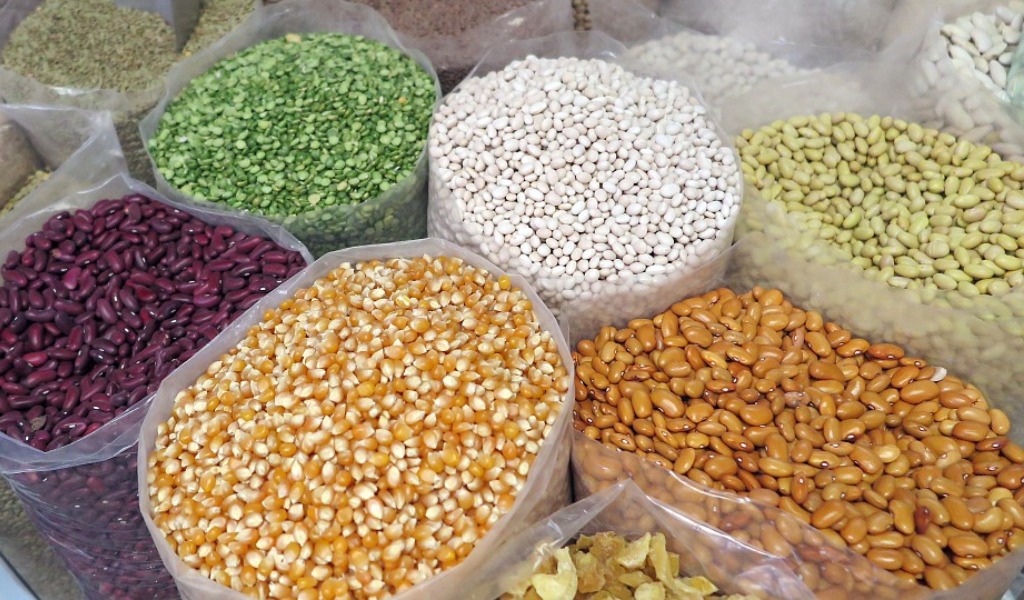 Ruba 200 kg semi di mais da un’azienda agricola, denunciato 40enne