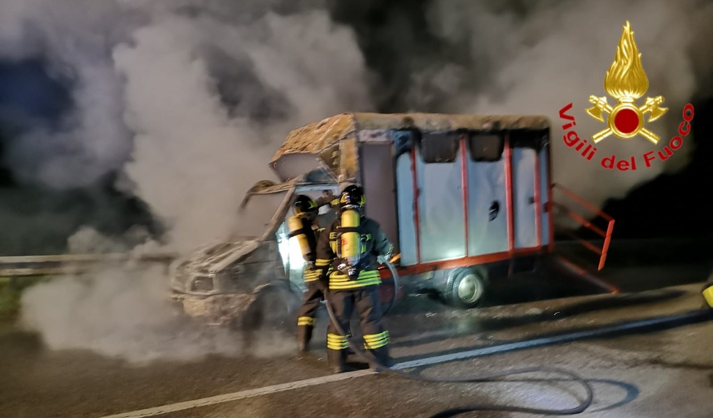 Trasporto cavalli in fiamme a Maleo, due animali messi in salvo