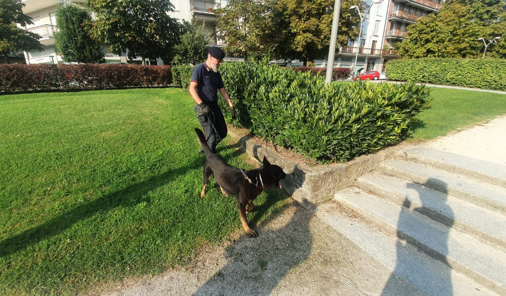 Controlli su strada, 12 denunciati nei giorni scorsi