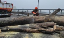 Pulizia ponte sull'Adda: rimossi 300 quintali di tronchi e detriti