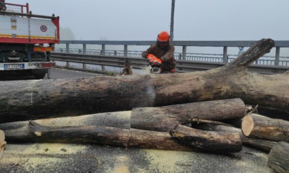 Pulizia ponte sull'Adda: rimossi 300 quintali di tronchi e detriti