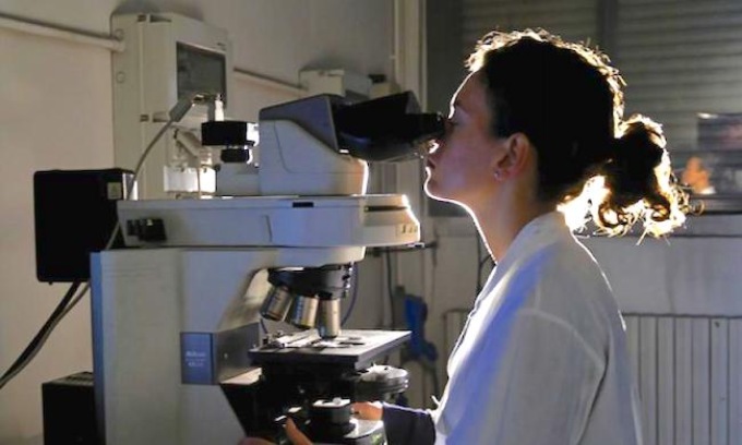Quattro casi Omicron in Lombardia, due sono a Lodi: corsa al tracciamento