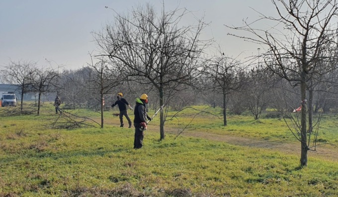 Parco Isolabella: “Un intervento di rigenerazione green senza precedenti”