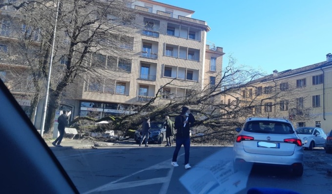 Vento forte in Lombardia, cinque alberi caduti a Lodi e auto distrutte