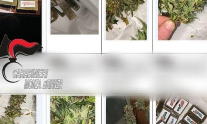 Operai vendono droga su Telegram e Instagram con tanto di prezziario: otto arresti