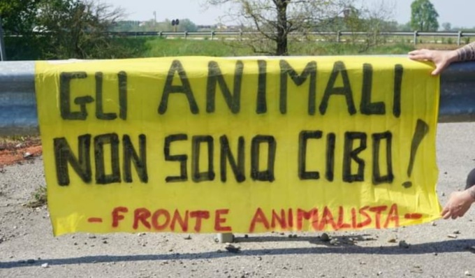 Manifestazione contro gli allevamenti-lager a Sant’Angelo: i volontari arrivano da tutta Italia